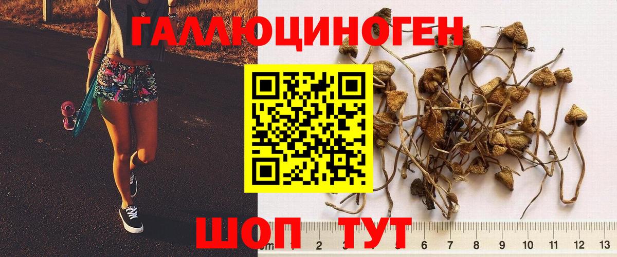 Галлюциногенные грибы мухоморы  Псилоцибиновые грибы Magic Shrooms  сколько стоит  Октябрьский  Вход с VPN 